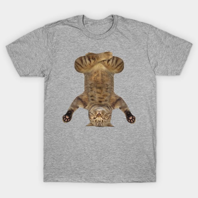 cat yoga T-Shirt by coolstuff100